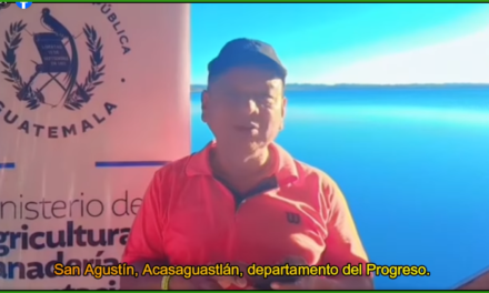 AGRADECIMIENTOS INTERCAMBIO DE EXPERIENCIAS.