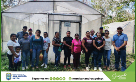 DIPLOMADO EN LA ELABORACIÓN DE PILONES. (Primera Fase)