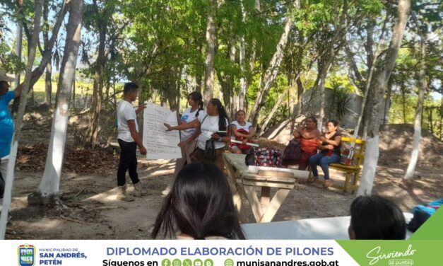 DIPLOMADO EN LA ELABORACIÓN DE PILONES (Segunda Fase)