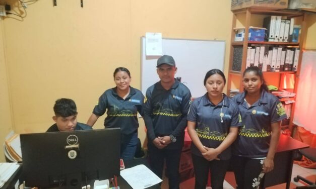 Desarrollo de Actividades de Servidores Cívicos