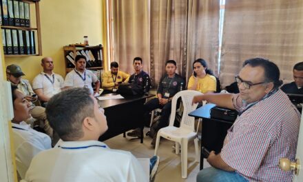 REUNIÓN INSTERINSTITUCIONAL.