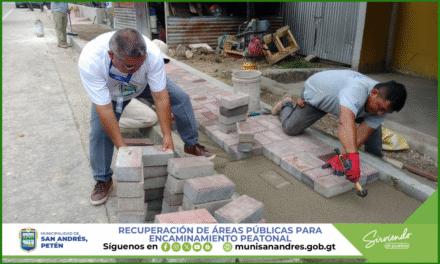 RECUPERACIÓN DE ÁREAS PÚBLICAS PARA ENCAMINAMIENTO PEATONAL