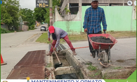 LIMPIEZA Y MANTENIMIENTO DE CUNETAS