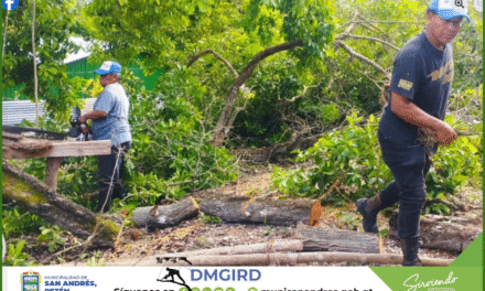 PODA DE ÁRBOL POR RIESGO A VIVIENDAS
