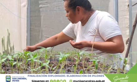 FINALIZACIÓN DEL DIPLOMADO EN ELABORACIÓN DE PILONES.