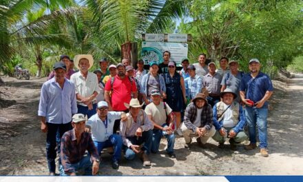 Fortalecimiento de Conocimientos y Capacidades Implementación de Sistemas Silvopastoriles