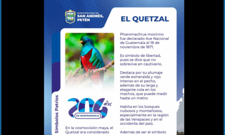Sabías que el Quetzal fue declarado Ave Nacional de Guatemala en 1871