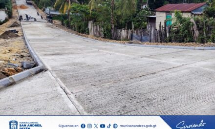 AVANZA PAVIMENTACIÓN EN BARRIO NORESTE