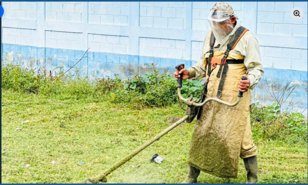 MANTENIMIENTO Y ORNATO