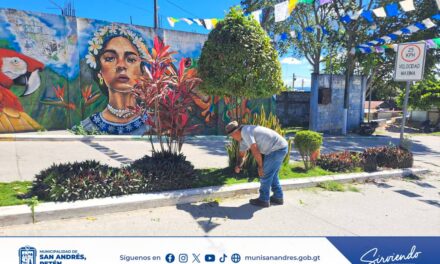 MANTENIMIENTO Y ORNATO