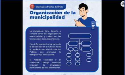 📊🏛️ Organización de la Municipalidad