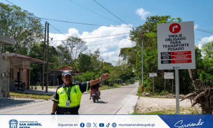 🚧🚛 ¡Orden y Seguridad Vial Para Todos!