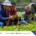 🌱🌎 Comprometidos con el Medio Ambiente y el Desarrollo Sostenible.