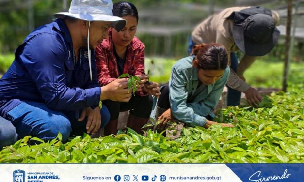🌱🌎 Comprometidos con el Medio Ambiente y el Desarrollo Sostenible.