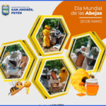 🐝 CONMEMORACIÓN | DÍA MUNDIAL DE LAS ABEJAS 🐝