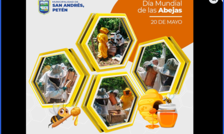 🐝 CONMEMORACIÓN | DÍA MUNDIAL DE LAS ABEJAS 🐝