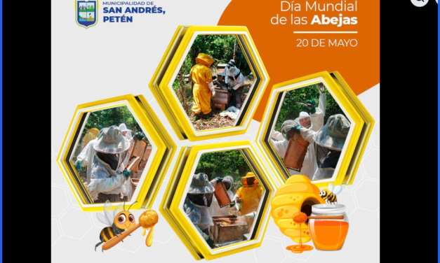 🐝 CONMEMORACIÓN | DÍA MUNDIAL DE LAS ABEJAS 🐝