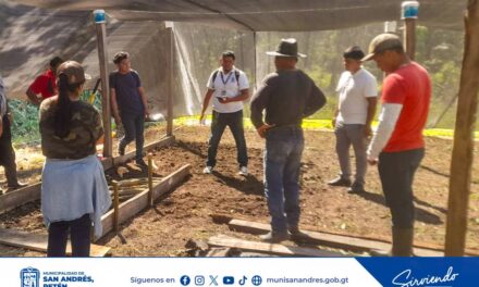 🌱🌿 Impulsando el Desarrollo Ambiental y Comunitario 🌿🌱