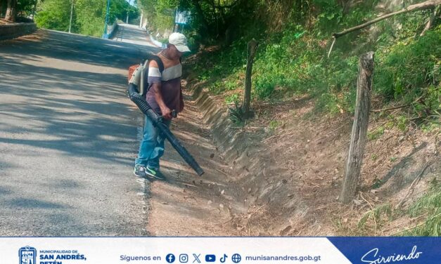 Jornada de Limpieza y Mantenimiento en el Malecón Turístico Municipal