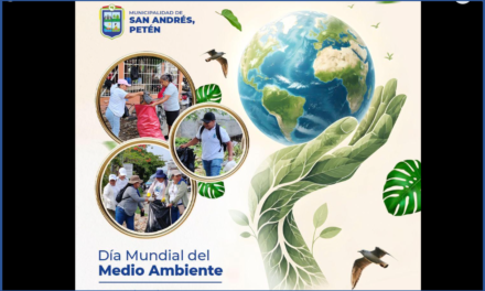 🌎 Día Mundial del Medio Ambiente | 5 de junio