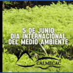 🌎🌿 DÍA MUNDIAL DEL MEDIO AMBIENTE 🌿🌎