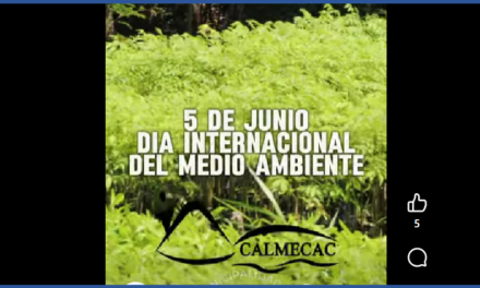 🌎🌿 DÍA MUNDIAL DEL MEDIO AMBIENTE 🌿🌎
