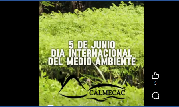 🌎🌿 DÍA MUNDIAL DEL MEDIO AMBIENTE 🌿🌎