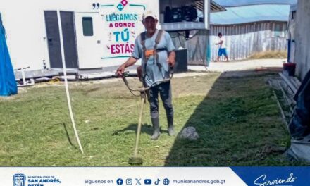 🌿 Trabajos continuos de mantenimiento y ornato.