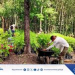 🌿 Unidos por la restauración de nuestros bosques.
