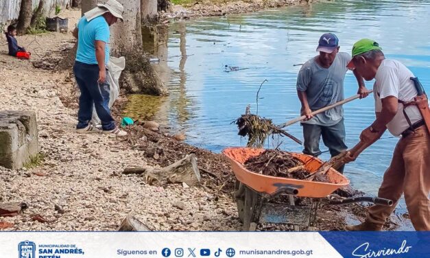 🧹 MANTENIMIENTO Y ORNATO.