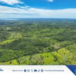 IMPLEMENTACIÓN DE SISTEMA AGROFORESTAL EN ÁREA AGRÍCOLA | CHULTÚN