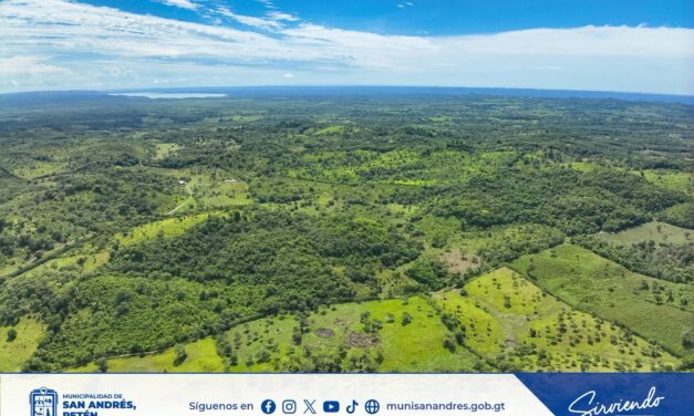 IMPLEMENTACIÓN DE SISTEMA AGROFORESTAL EN ÁREA AGRÍCOLA | CHULTÚN