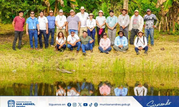 REFORESTACIÓN Y SISTEMAS AGROFORESTALES PARA COMBATIR EL CAMBIO CLIMÁTICO.