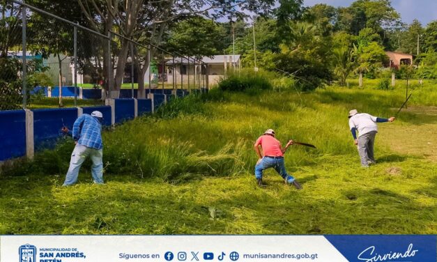MANTENIMIENTO Y LIMPIEZA DE LAS ÁREAS PÚBLICAS
