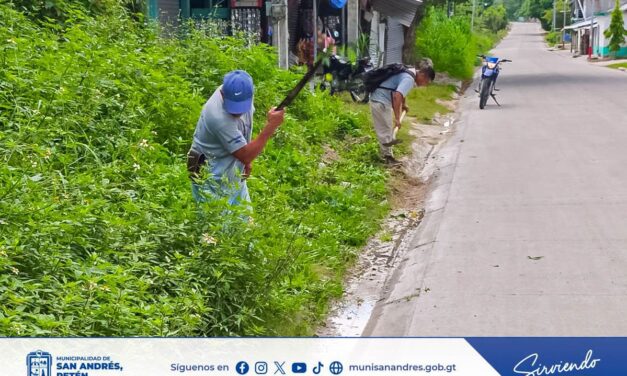 MANTENIMIENTO Y ORNATO CONTINÚA EN LOS DIFERENTES BARRIOS