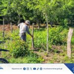 🚧 MUNICIPALIDAD TRABAJA EN LA RECUPERACIÓN DE CALLES EN BARRIO NUEVA JUVENTUD