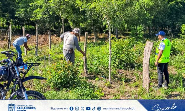🚧 MUNICIPALIDAD TRABAJA EN LA RECUPERACIÓN DE CALLES EN BARRIO NUEVA JUVENTUD